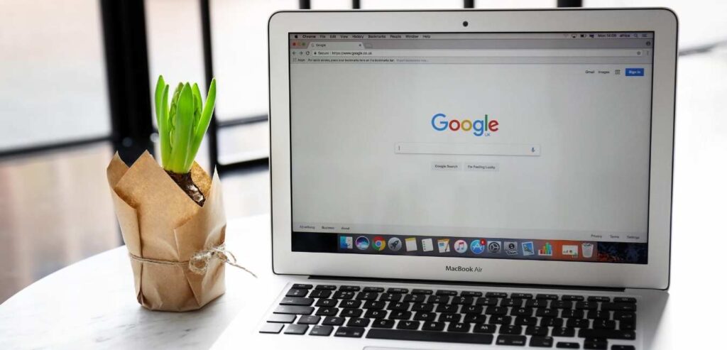 google laptop plant