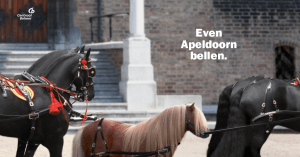 Even Apeldoorn bellen, vier paarden waartussen een pony staat.